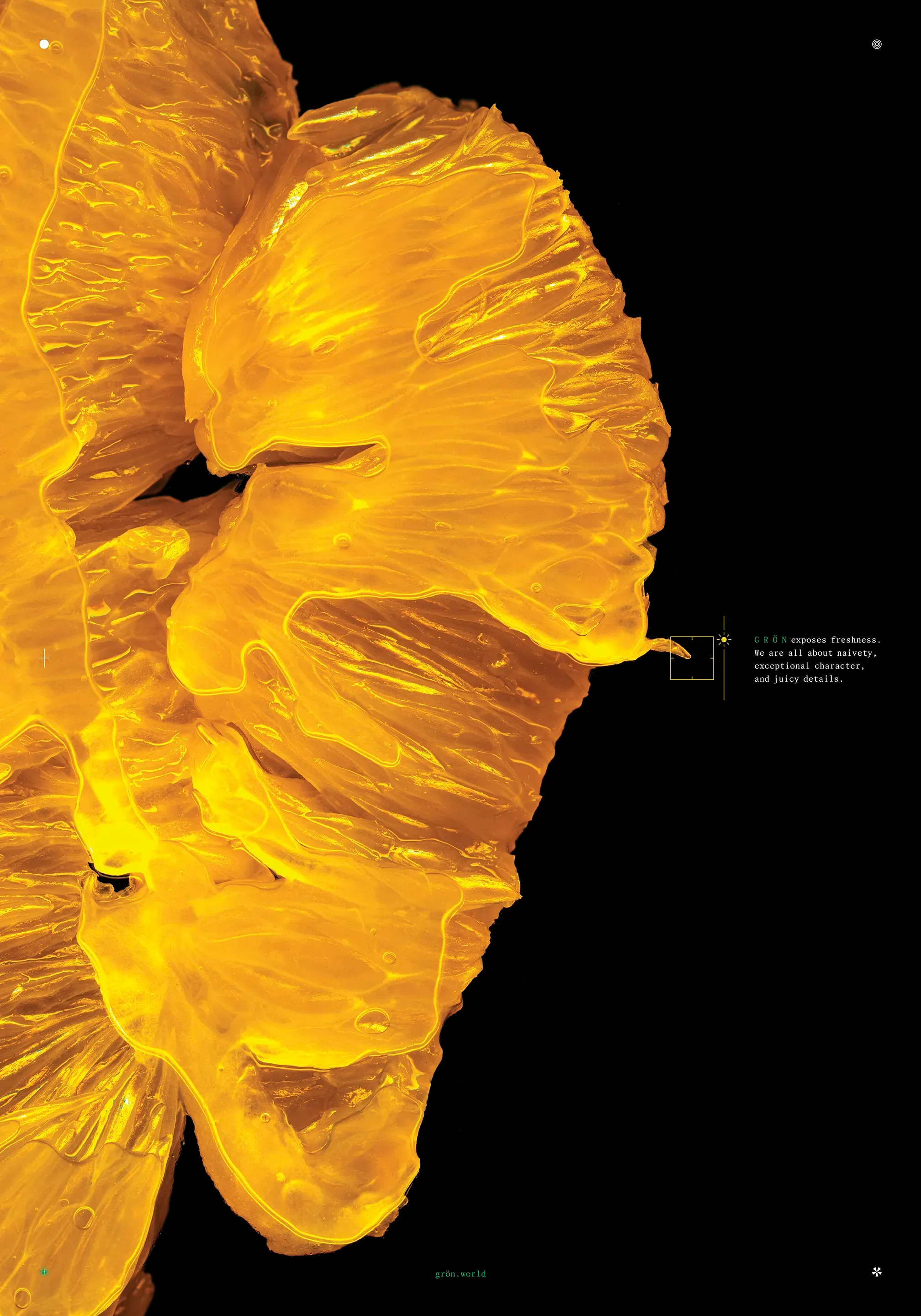 GRÖN poster: macro photo of golden citrus flesh on black