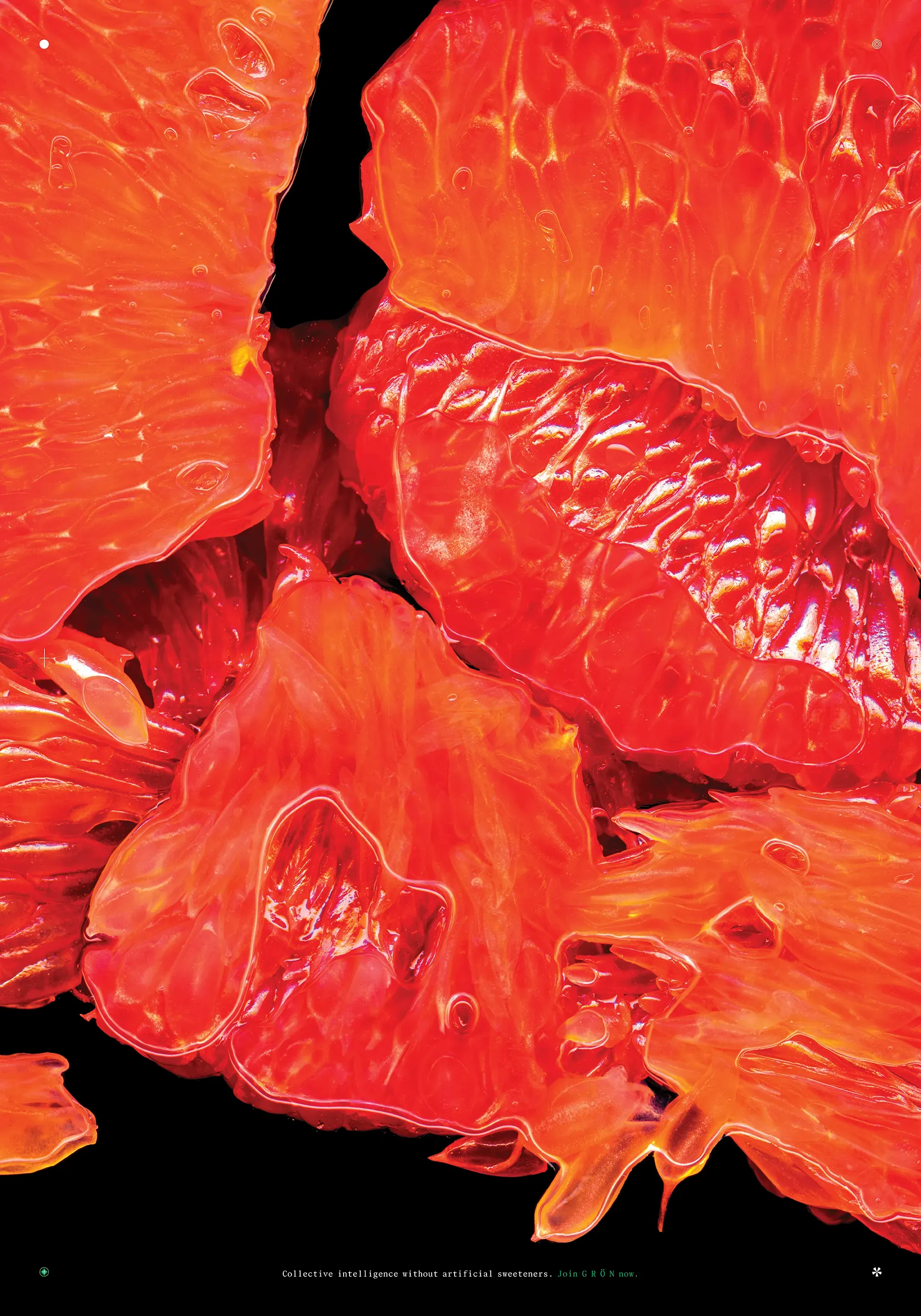 GRÖN poster: macro photo of glistening red citrus segments on black