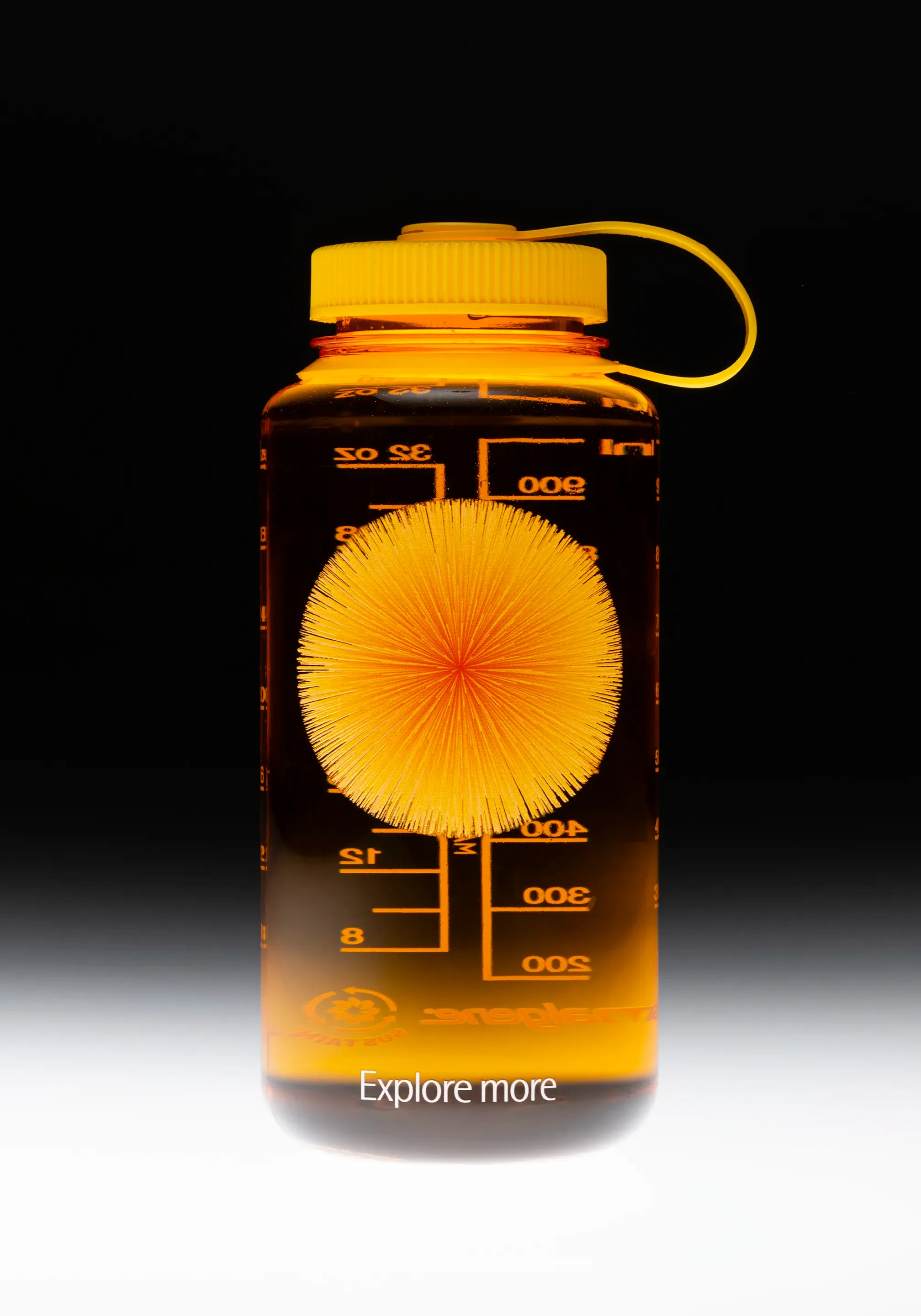 Olink water bottle printed with an orange starburst and “Explore more”