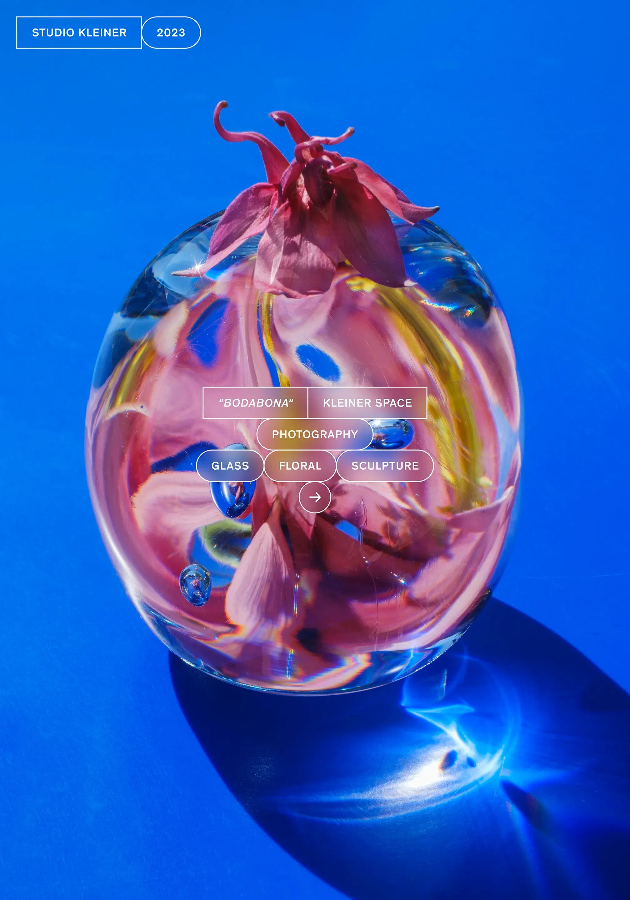 Studio Kleiner poster: a glass sculpture holding a pink flower on blue, tagged “Bodabona”