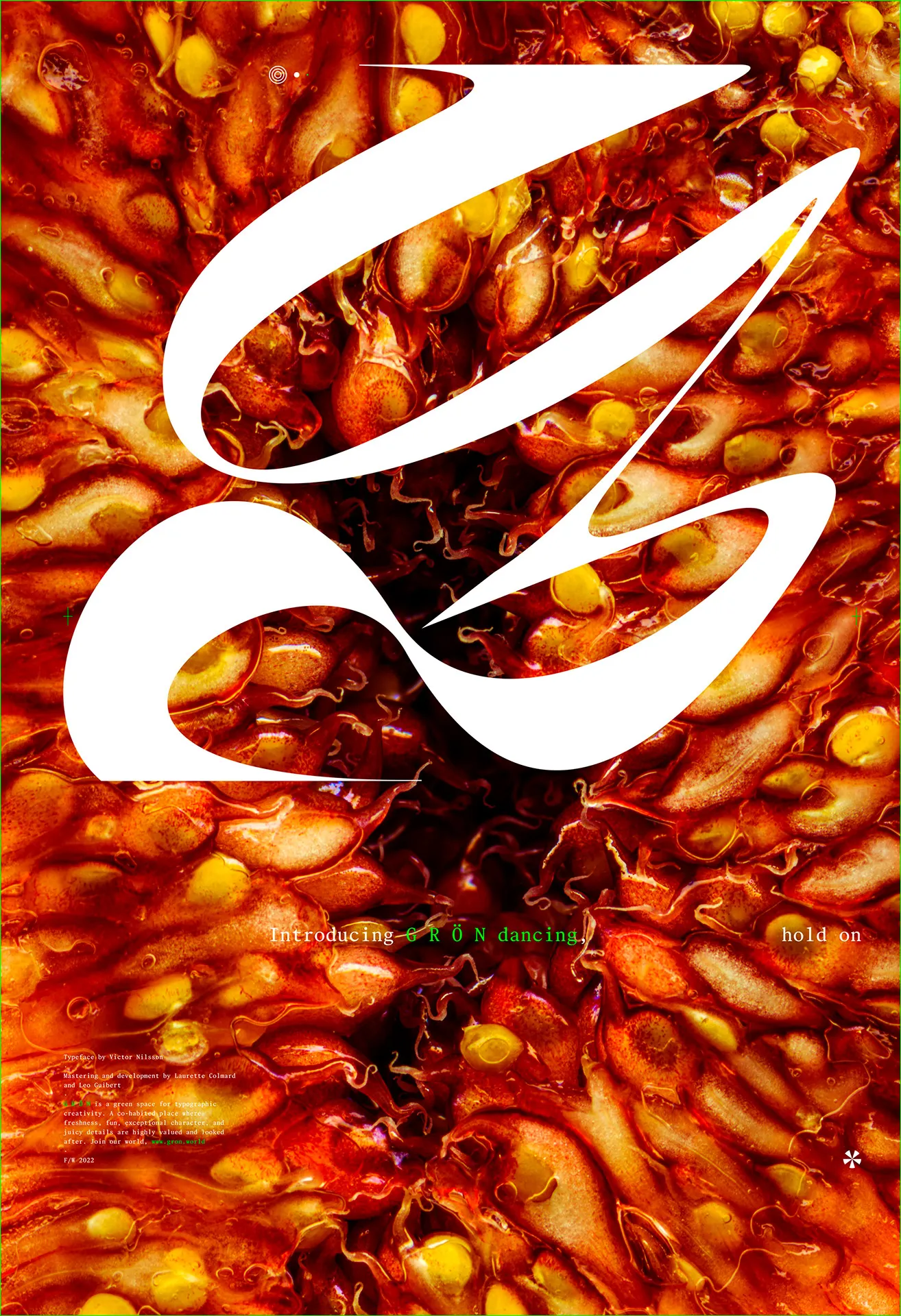 G R Ö N dancing poster: one huge, swirling white letterform over a macro of red fruit flesh and seeds