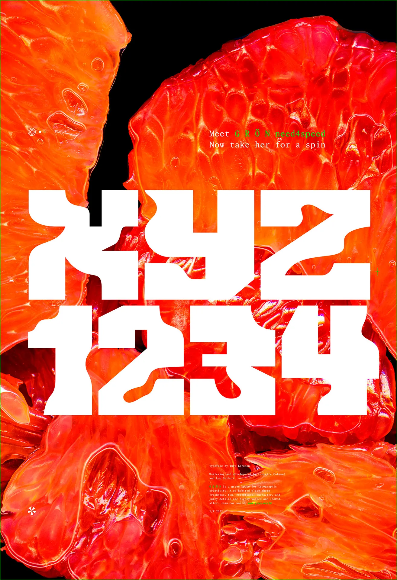 G R Ö N need4speed poster: chunky, blobby white “XYZ 1234” over a macro of red citrus segments
