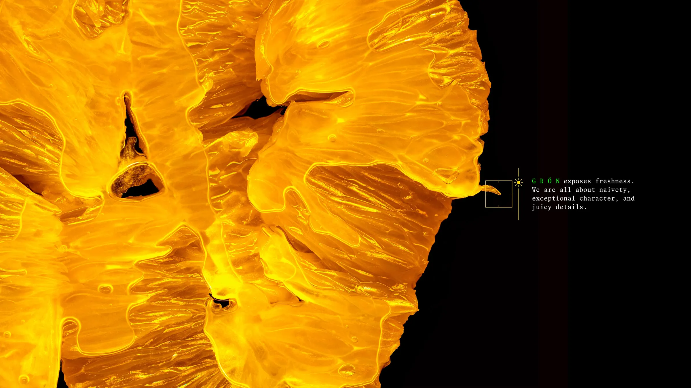 Macro of glowing golden fruit flesh on black, captioned “G R Ö N exposes freshness”
